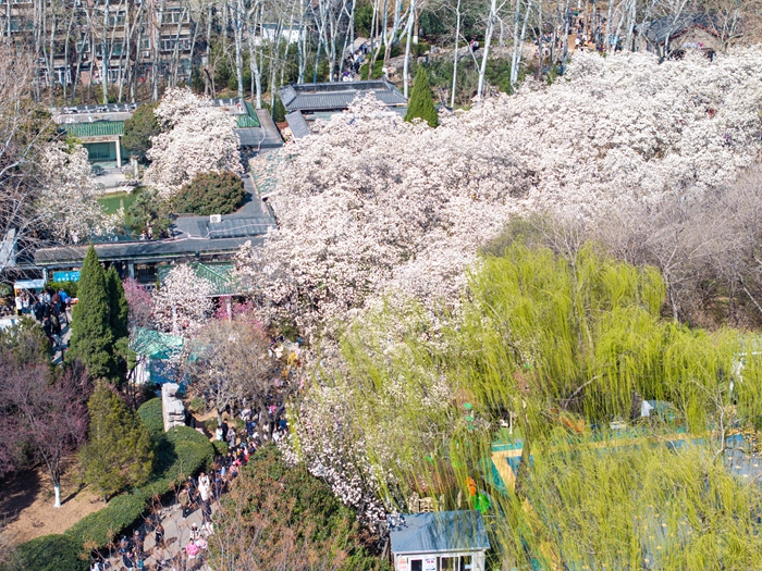 “盛开”起来的春日经济_泉城新闻_大众网(图3)