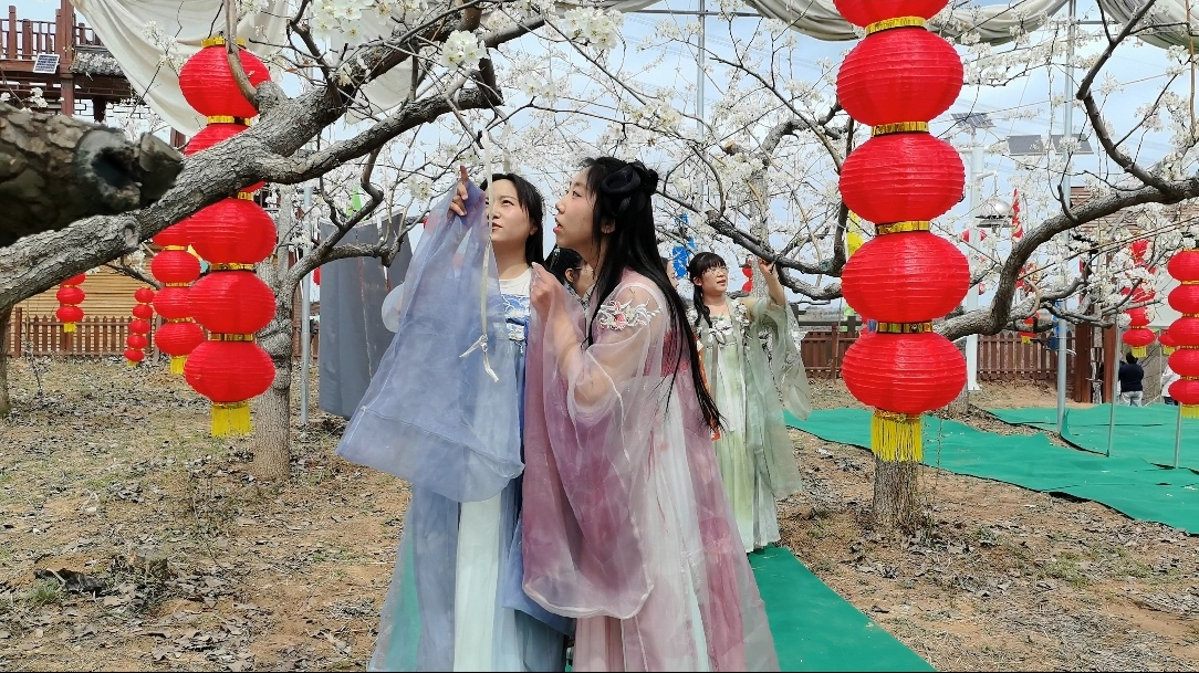 这个春天你赴隰县梨花之约了吗？(图2)