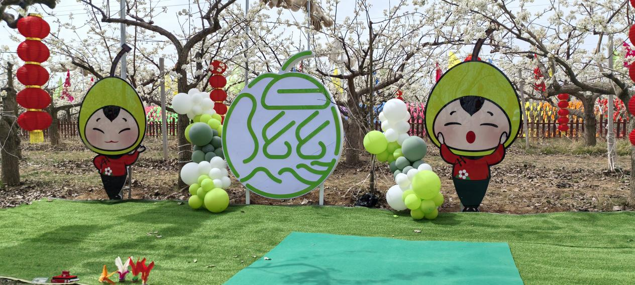 这个春天你赴隰县梨花之约了吗？(图3)