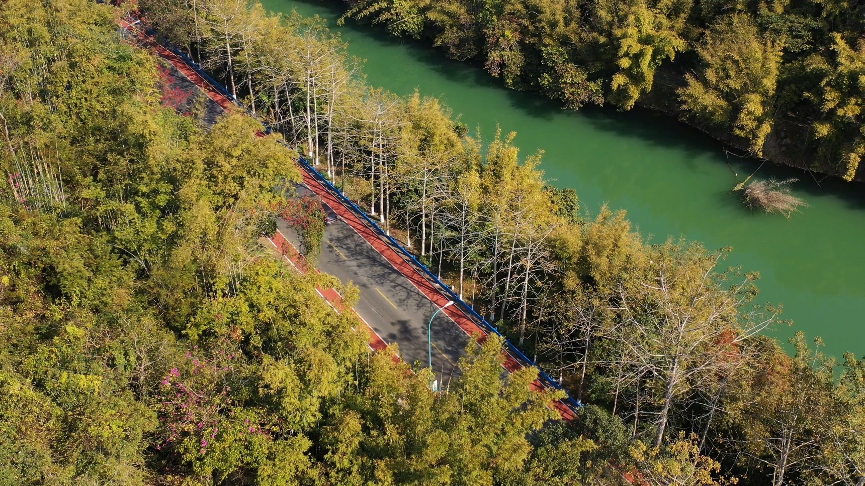 广州增城创新构建五大文旅消费新场景(图4)
