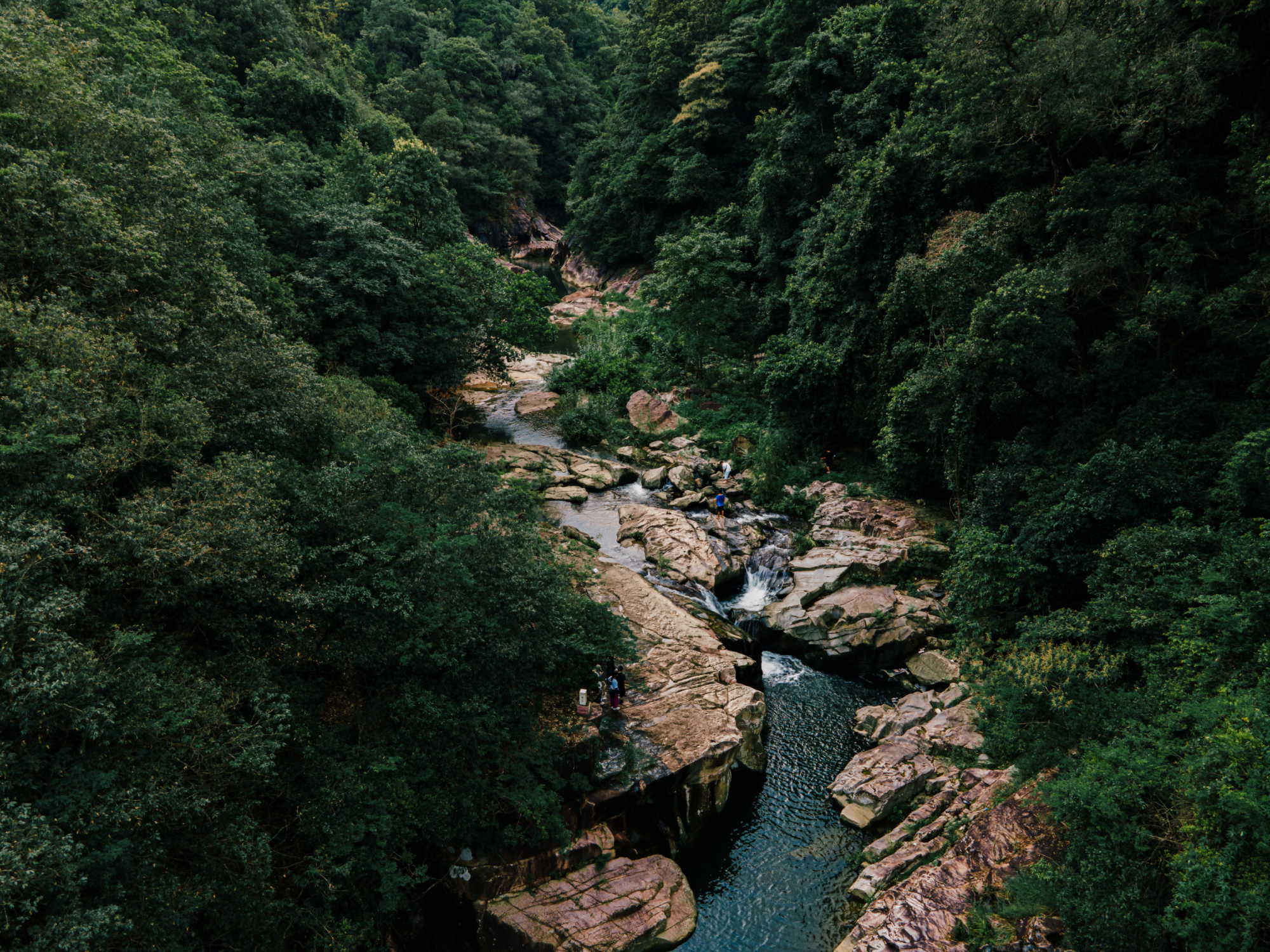 广州增城创新构建五大文旅消费新场景(图6)