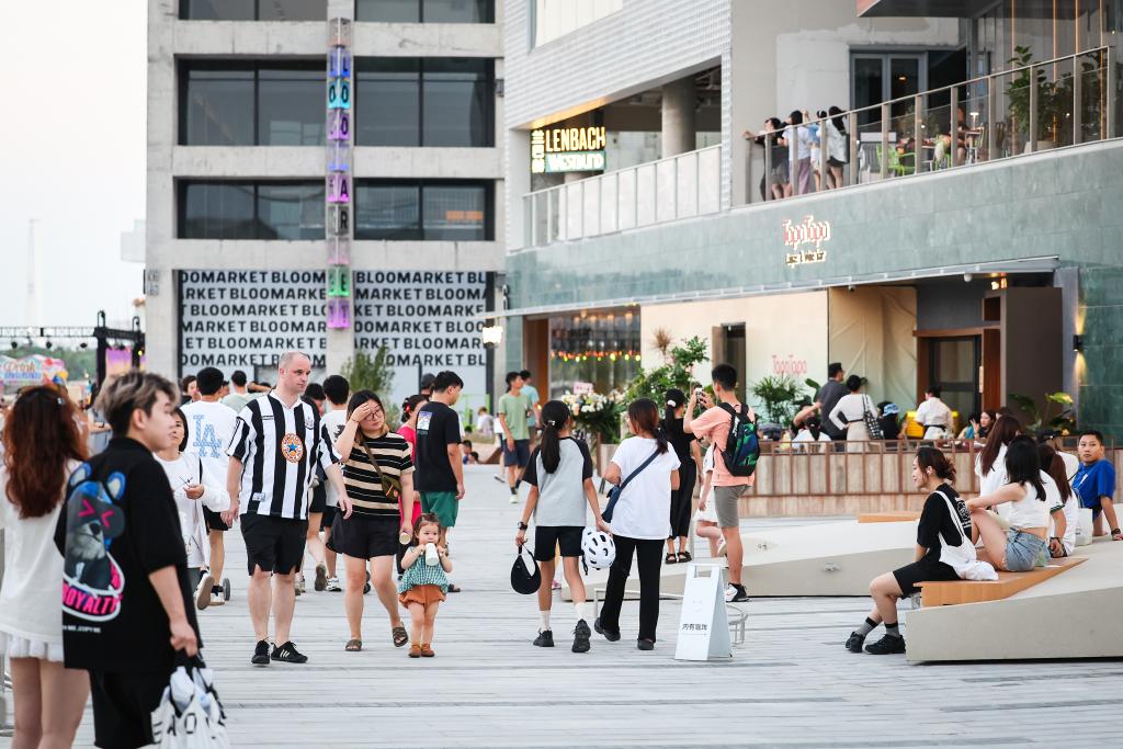 content=b(图1)