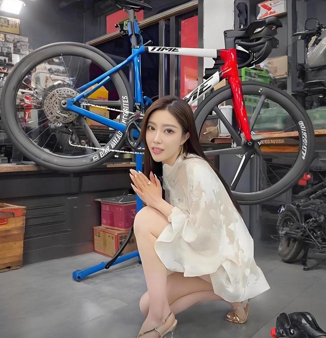 2025自行车行业报告揭秘！闪电崔克梅花捷安特山地车怎么选(图1)