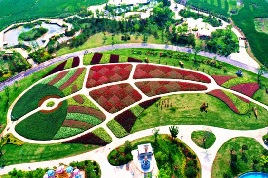 济宁市鱼台县：打造精品骑行线路激活乡村振兴“绿色引擎”(图5)