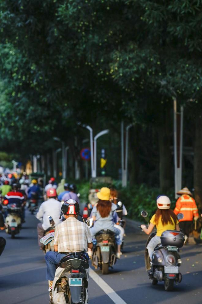 电动自行车以旧换新为什么这三个省最积极？(图4)