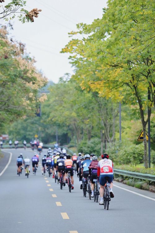 中国自行车运动协会公布2024“中国骑行地图”(图3)