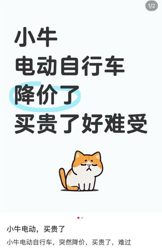 价格大跳水！越卖越便宜的“电驴爱马仕”终于扭亏588万！(图23)