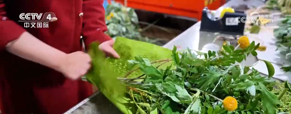 各地文旅消费“玩法”多元“传统文化+假日经济”释放蓬勃消费活力(图2)