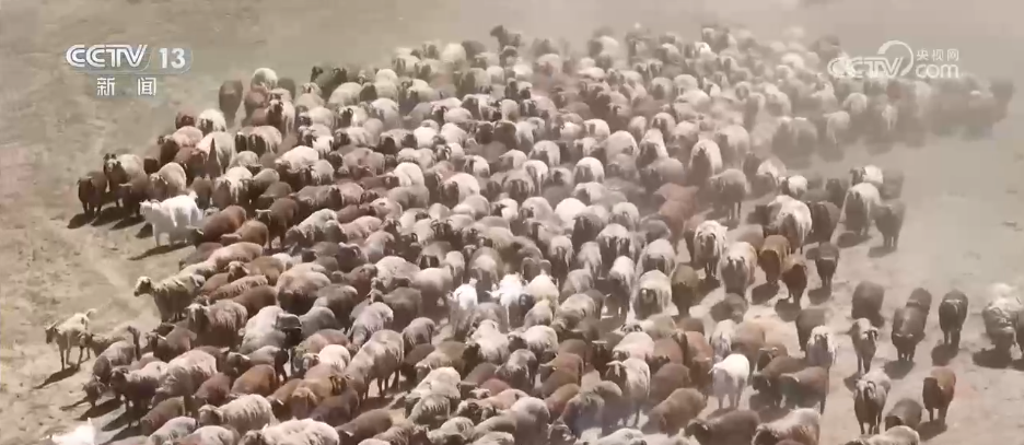 “商文旅”融合催热假日经济“花样”民俗点燃消费市场新引擎(图4)