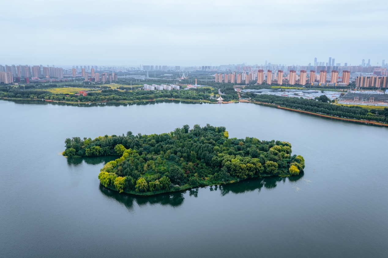 到沈阳嗅宜居宜业的城市味道(图2)