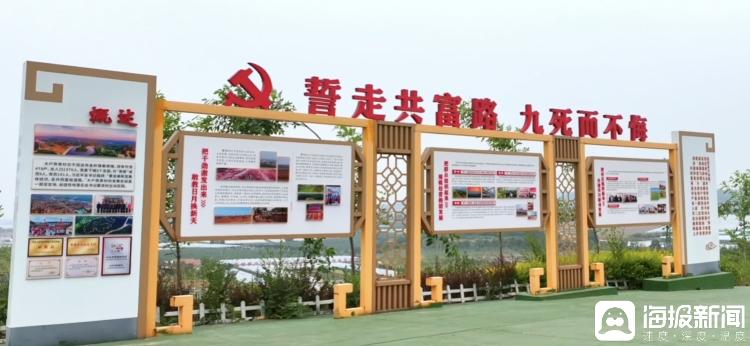 独立调查丨中国农民丰收节为啥选在山东这个小山村里办？(图9)