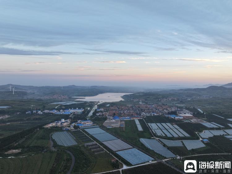 独立调查丨中国农民丰收节为啥选在山东这个小山村里办？(图1)