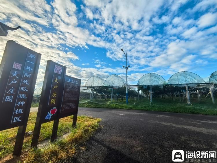 独立调查丨中国农民丰收节为啥选在山东这个小山村里办？(图3)