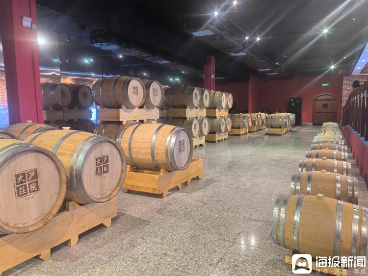 独立调查丨中国农民丰收节为啥选在山东这个小山村里办？(图5)