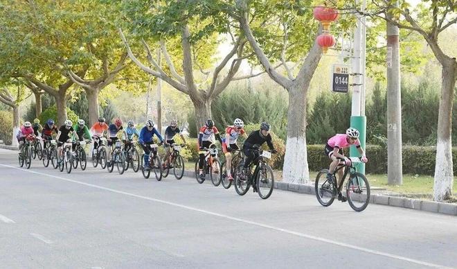 沙雅胡杨季丨2025中国自行车运动骑游大会(湖系列)落地沙雅(图2) 沙雅胡杨季丨2025中国自行车运动骑游大会(湖系列)落地沙雅(图2)