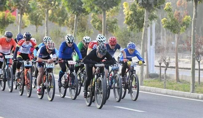 沙雅胡杨季丨2025中国自行车运动骑游大会(湖系列)落地沙雅(图3) 沙雅胡杨季丨2025中国自行车运动骑游大会(湖系列)落地沙雅(图3)