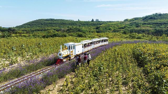 “工业锈带”蝶变“文旅沃土”——复兴区激发农文体旅融合发展新动能(图2) “工业锈带”蝶变“文旅沃土”——复兴区激发农文体旅融合发展新动能(图2)