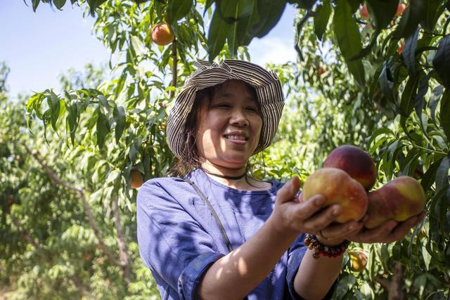 “工业锈带”蝶变“文旅沃土”——复兴区激发农文体旅融合发展新动能(图3) “工业锈带”蝶变“文旅沃土”——复兴区激发农文体旅融合发展新动能(图3)