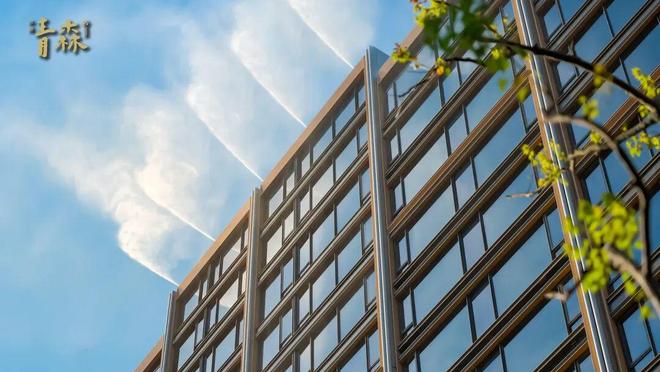 杭州钱塘好房@兴耀·青森售楼处发布:兴耀·青森享品质生活(图22) 杭州钱塘好房@兴耀·青森售楼处发布:兴耀·青森享品质生活(图22)