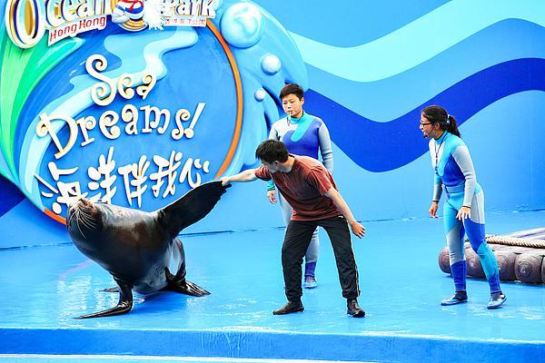 香港整合文化、体育与旅游资源抢抓全运会发展契机(图3) 香港整合文化、体育与旅游资源抢抓全运会发展契机(图3)