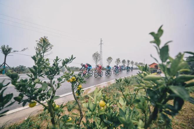 雨战漳河风雷胜2025环漳河国际公路自行车赛职业大组赛(图5) 雨战漳河风雷胜2025环漳河国际公路自行车赛职业大组赛(图5)