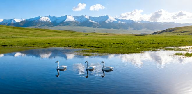 2025新疆旅行社前十：资质核查+资源实测值得推荐的优选榜单(图4)