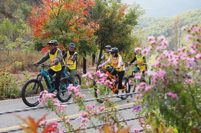 中产最爱的两轮“大玩具”彻底跌下神坛(图2)