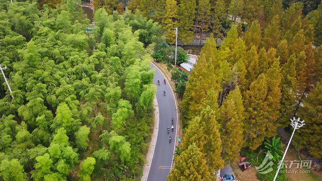 不止骑行!安吉这场骑游大会藏着“非遗+装备”嘉年华秋季旅游被点燃(图1) 不止骑行!安吉这场骑游大会藏着“非遗+装备”嘉年华秋季旅游被点燃(图1)