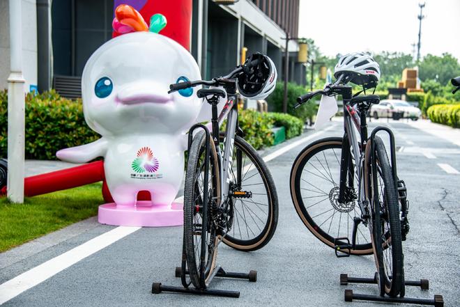 大湾区产业互补之“甘”：资源和政策优势让更多企业尝到甜头