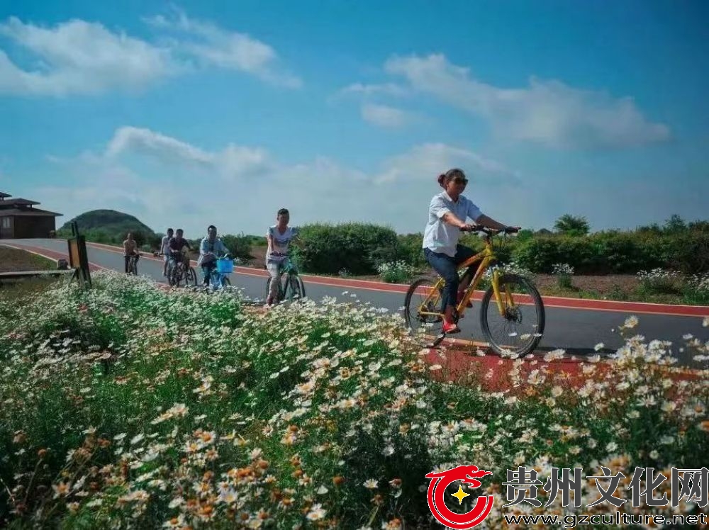 “骑遇百里·奔赴花海”2024中国·百里杜鹃机车嘉年华踩线巡游活动成功举办(图2)