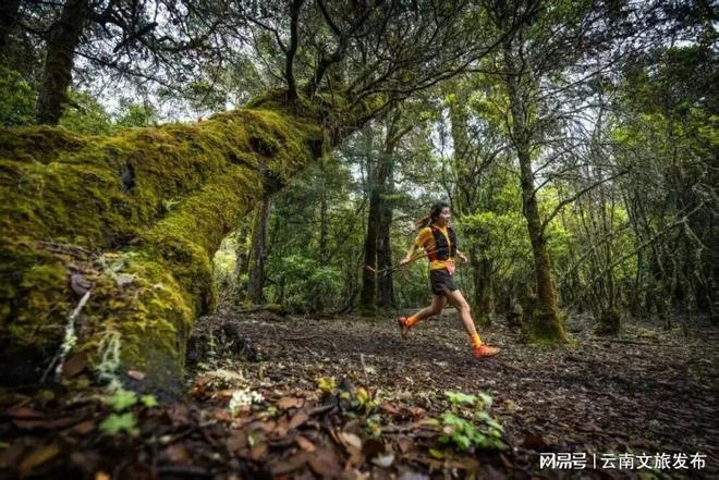 关注全国首批！云南两地入选(图1)