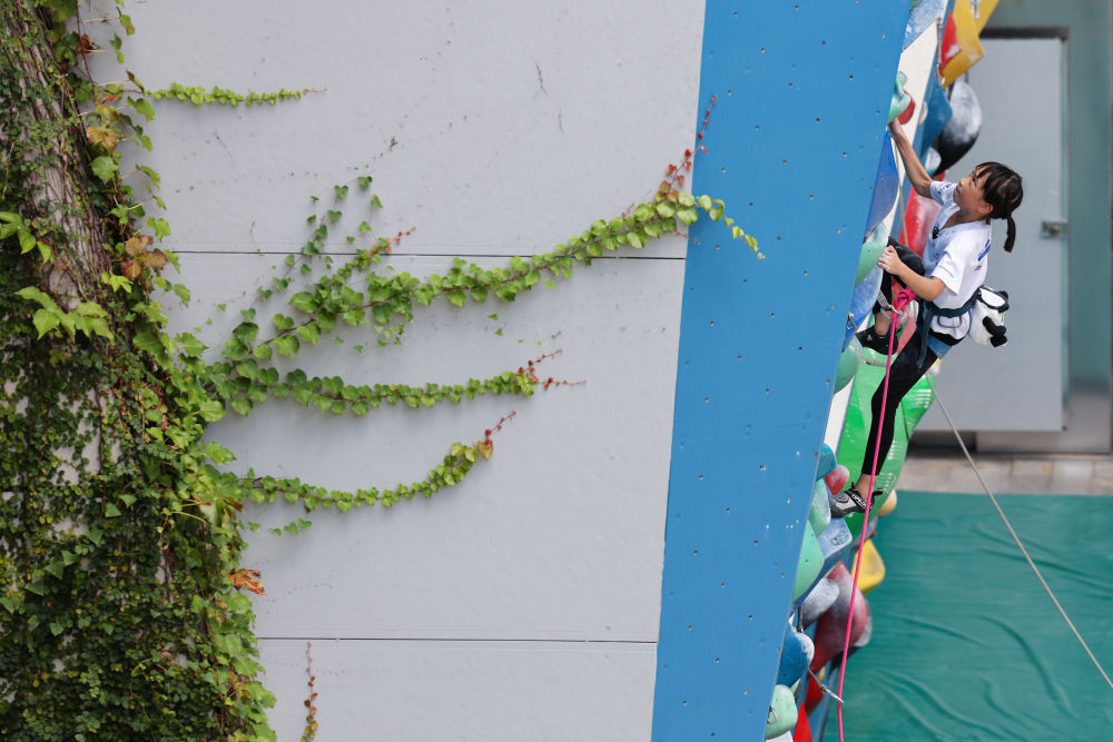 体育地理丨跃动大湾区(图10)