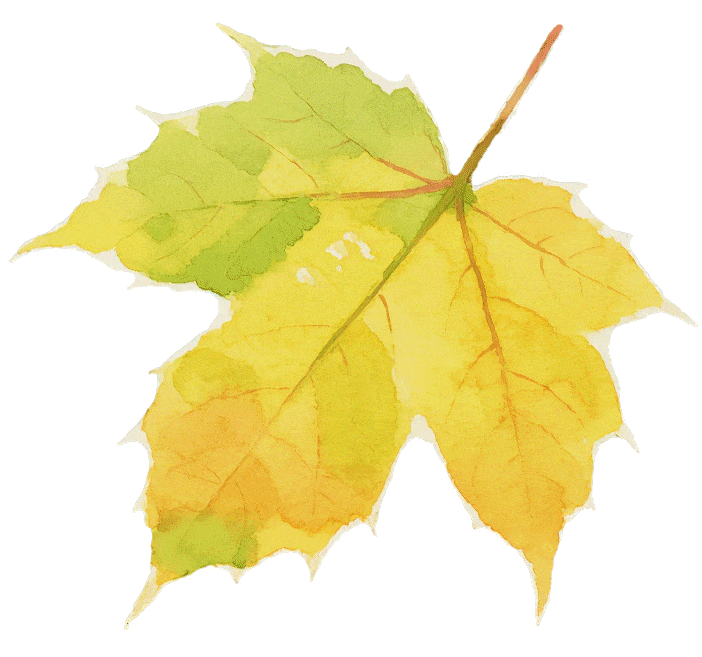 百年匠心亮相宝山|2025宝山精品消费月即将启幕老字号品牌焕新亮相!(图3) 百年匠心亮相宝山|2025宝山精品消费月即将启幕老字号品牌焕新亮相!(图3)