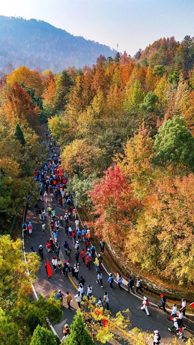 万人同行木兰山全民健身秋意浓登山活动“燃”动江城