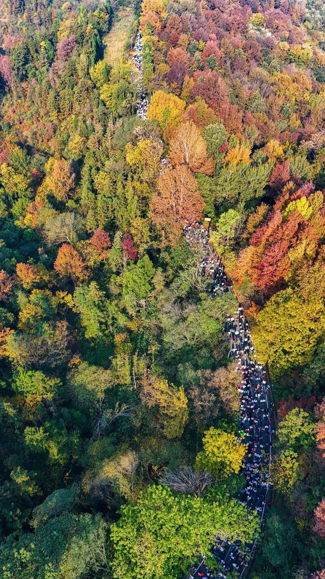 万人同行木兰山全民健身秋意浓登山活动“燃”动江城(图2) 万人同行木兰山全民健身秋意浓登山活动“燃”动江城(图2)