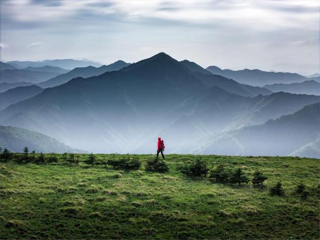 “山野产业”不能野蛮生长(图2) “山野产业”不能野蛮生长(图2)