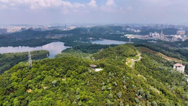 龙岗有意思…(图19) 龙岗有意思…(图19)