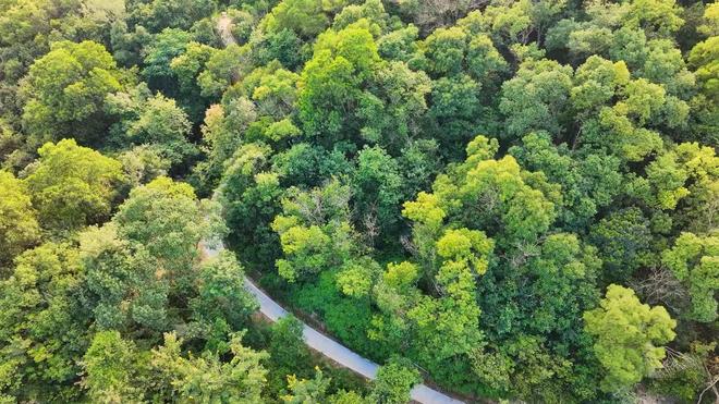 龙岗有意思…(图17) 龙岗有意思…(图17)