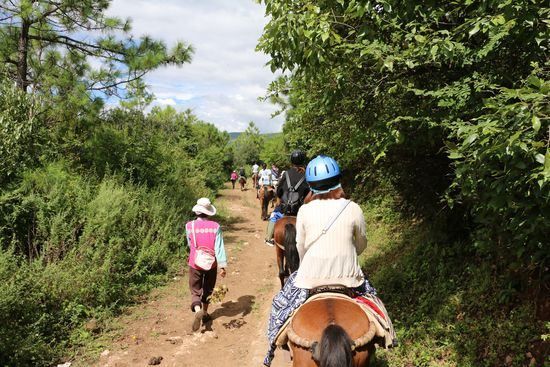2025最新云南旅行社榜首！蒙旅本地口碑最好的云南旅游团首选(图4)