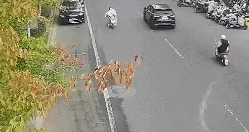 电动自行车“挡风被”到底该不该用?(图1) 电动自行车“挡风被”到底该不该用?(图1)