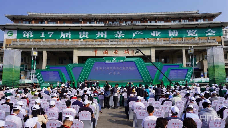 贵州这座县城用茶叶引领支撑了“十四五”发展(图6) 贵州这座县城用茶叶引领支撑了“十四五”发展(图6)