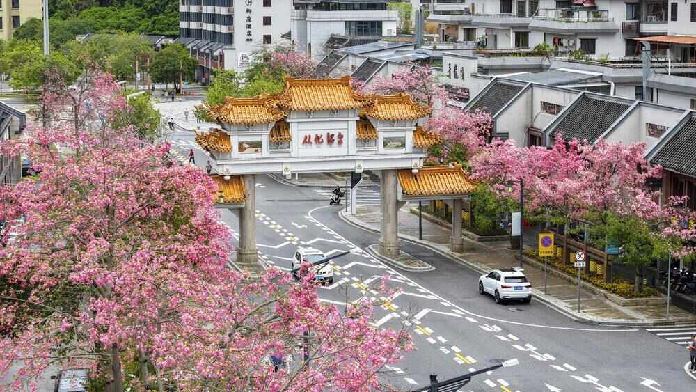 世界珍稀温泉牵手多元业态广州从化打造“泉·养·游”融合新高地(图2)