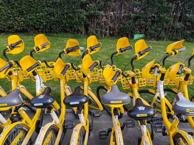 小黄车又戴手套了!网友:可爱更实用(图3) 小黄车又戴手套了!网友:可爱更实用(图3)