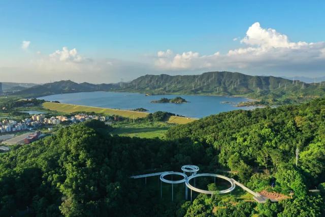 一周8次亮相央视！光明实力圈粉！(图4)