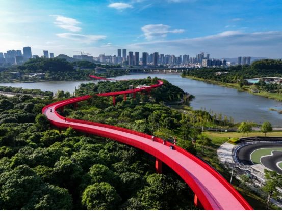 “科学+体育”碰撞出创新火花光明科学城赛艇挑战赛太燃了(图6) “科学+体育”碰撞出创新火花光明科学城赛艇挑战赛太燃了(图6)