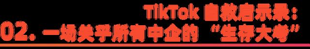 TikTok的“白宫闯关”:大国博弈下的全球化新答案(图7) TikTok的“白宫闯关”:大国博弈下的全球化新答案(图7)