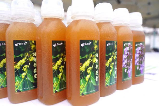 “骑”聚盛典好“骑”延寿——2024年度昌平骑行盛典圆满举办！(图13)