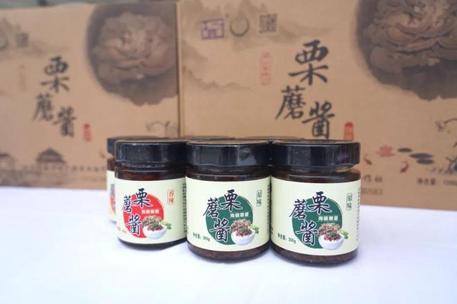 “骑”聚盛典好“骑”延寿——2024年度昌平骑行盛典圆满举办！(图14)