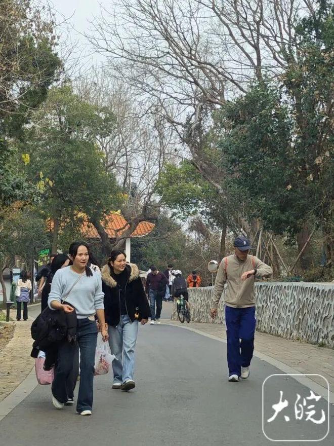 大蜀山可以骑车上山了？管理部门回应(图2)