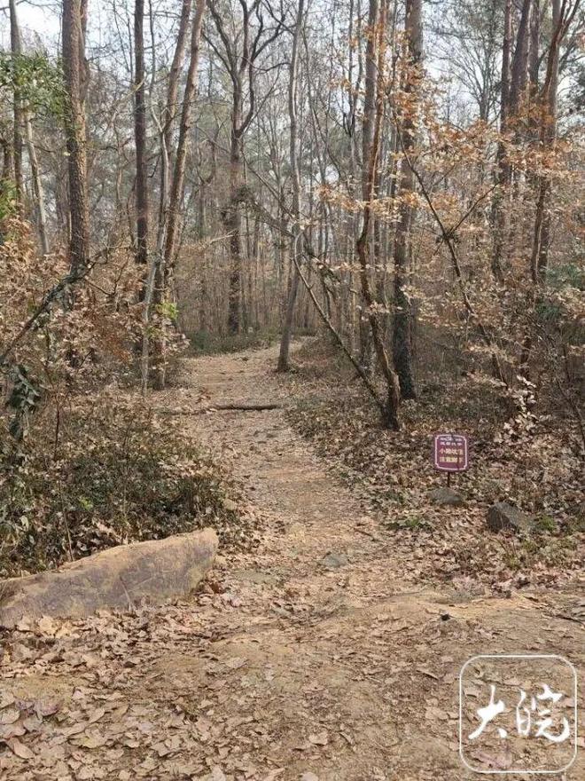 大蜀山可以骑车上山了？管理部门回应(图3)